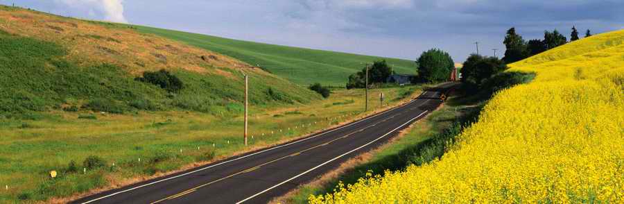 Roads & Highways - Photodisk Designer Tools ></a>
<script language=JavaScript> 
  var txt = 