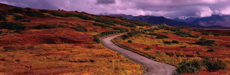 Roads & Highways - Photodisk Designer Tools ></a>
<script language=JavaScript> 
  var txt = 