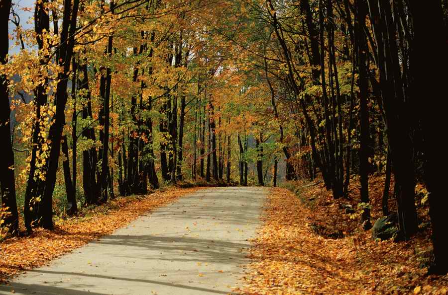 Roads & Highways - Photodisk Designer Tools ></a>
<script language=JavaScript> 
  var txt = 