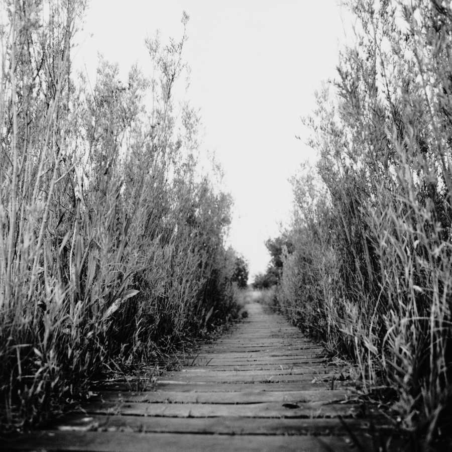 Roads & Highways - Photodisk Designer Tools ></a>
<script language=JavaScript> 
  var txt = 