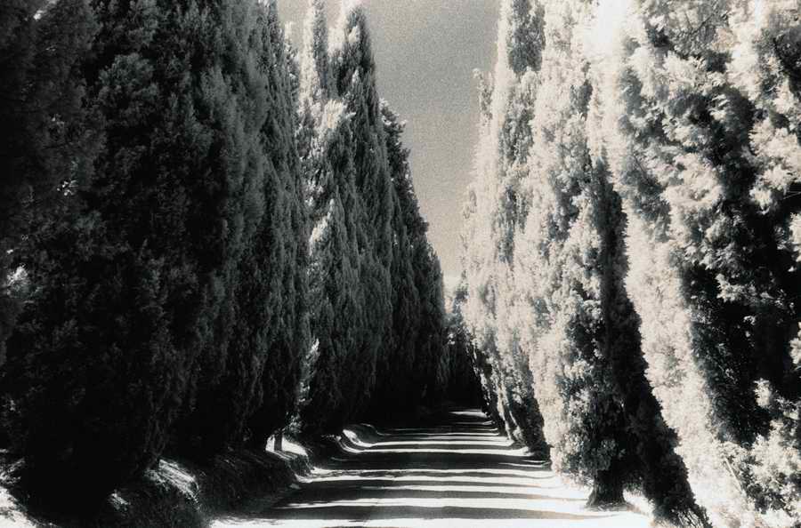 Roads & Highways - Photodisk Designer Tools ></a>
<script language=JavaScript> 
  var txt = 