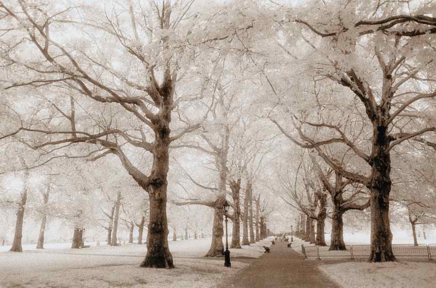 Roads & Highways - Photodisk Designer Tools ></a>
<script language=JavaScript> 
  var txt = 