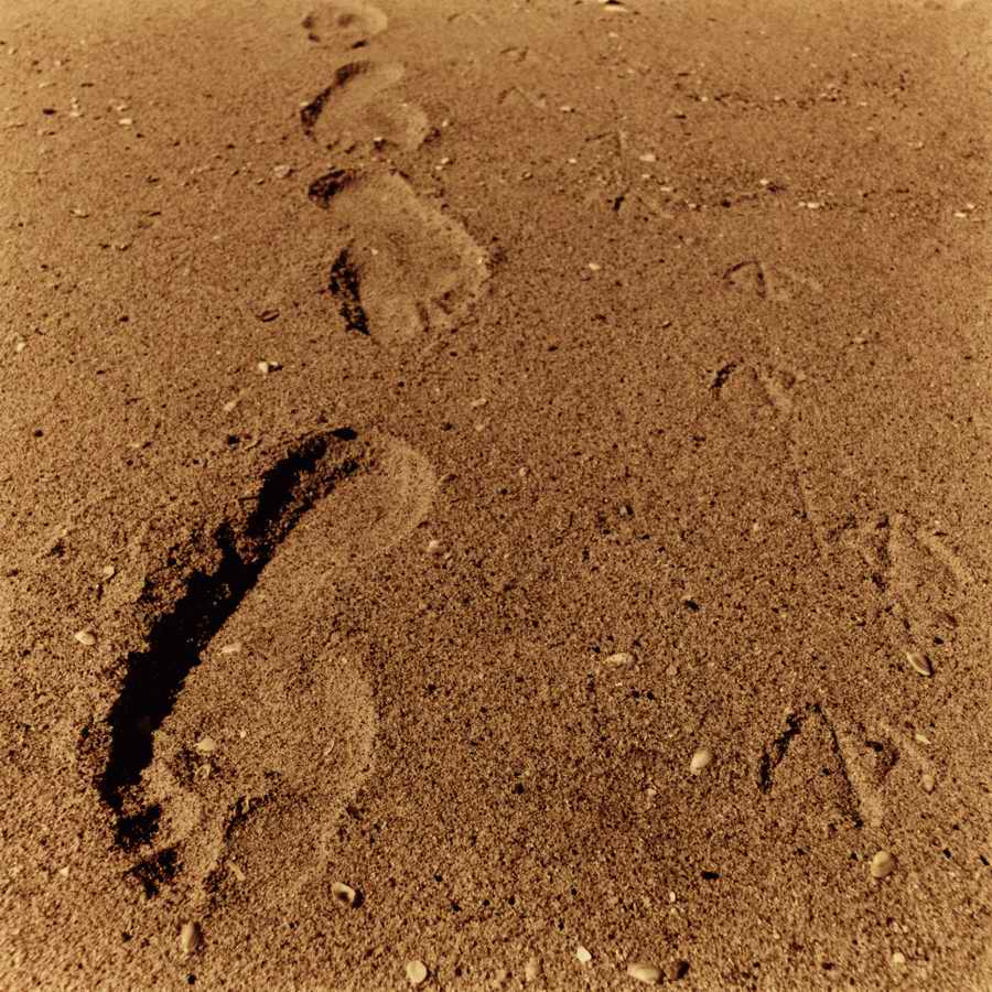 Transport & Travel - Photodisk Designer Tools ></a>
<script language=JavaScript> 
  var txt = 