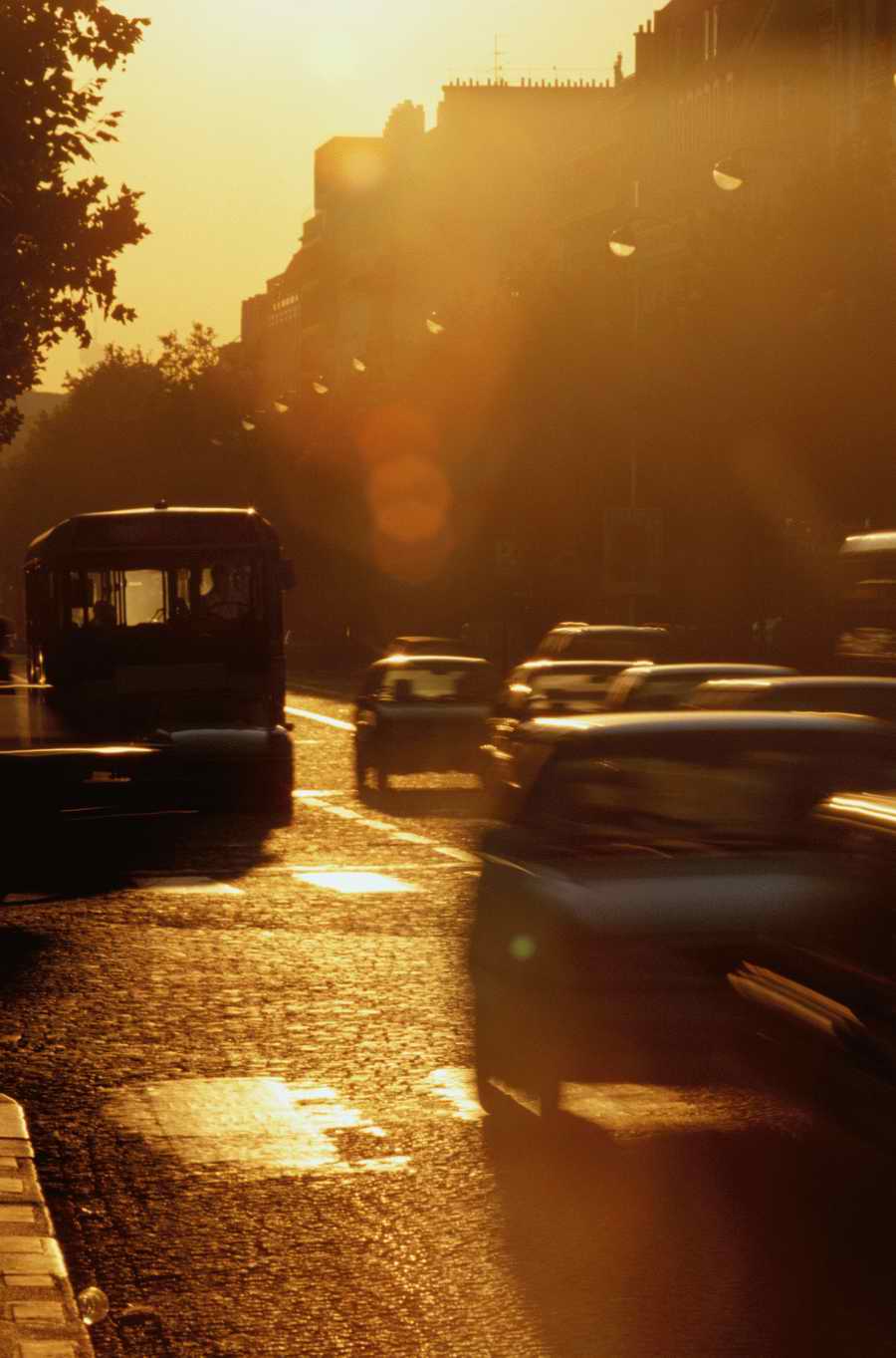 Transport & Travel - Photodisk Designer Tools ></a>
<script language=JavaScript> 
  var txt = 