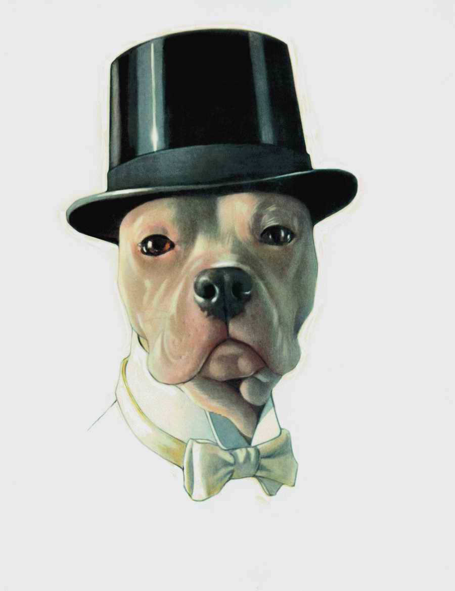 Busines & Industry Illustrtrations - Photodisk Fine Art ></a>
<script language=JavaScript> 
  var txt = 