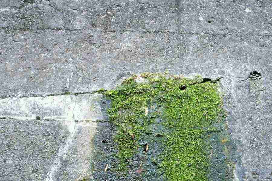 Office Work - Photo Mantan ></a>
<script language=JavaScript> 
  var txt = 