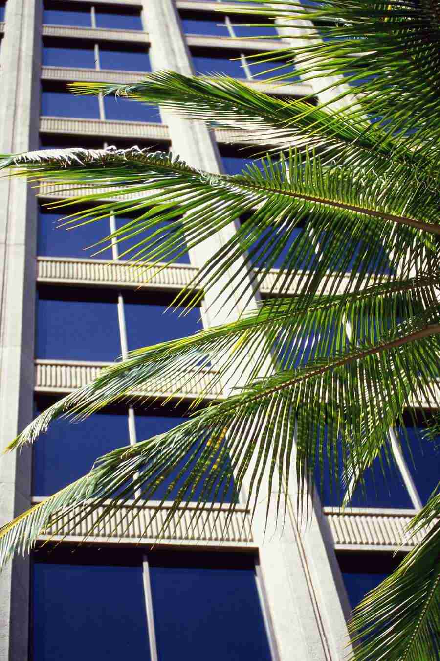 Office Work - Photo Mantan ></a>
<script language=JavaScript> 
  var txt = 