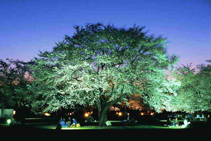 Office Work - Photo Mantan ></a>
<script language=JavaScript> 
  var txt = 