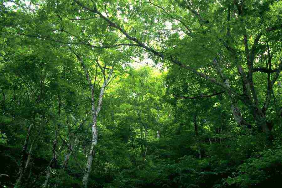 Office Work - Photo Mantan ></a>
<script language=JavaScript> 
  var txt = 