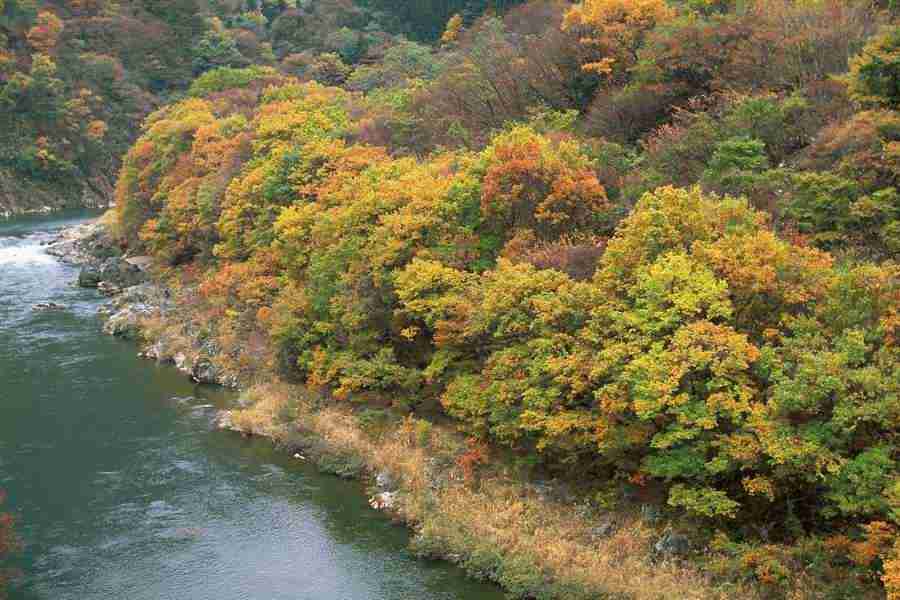 Office Work - Photo Mantan ></a>
<script language=JavaScript> 
  var txt = 