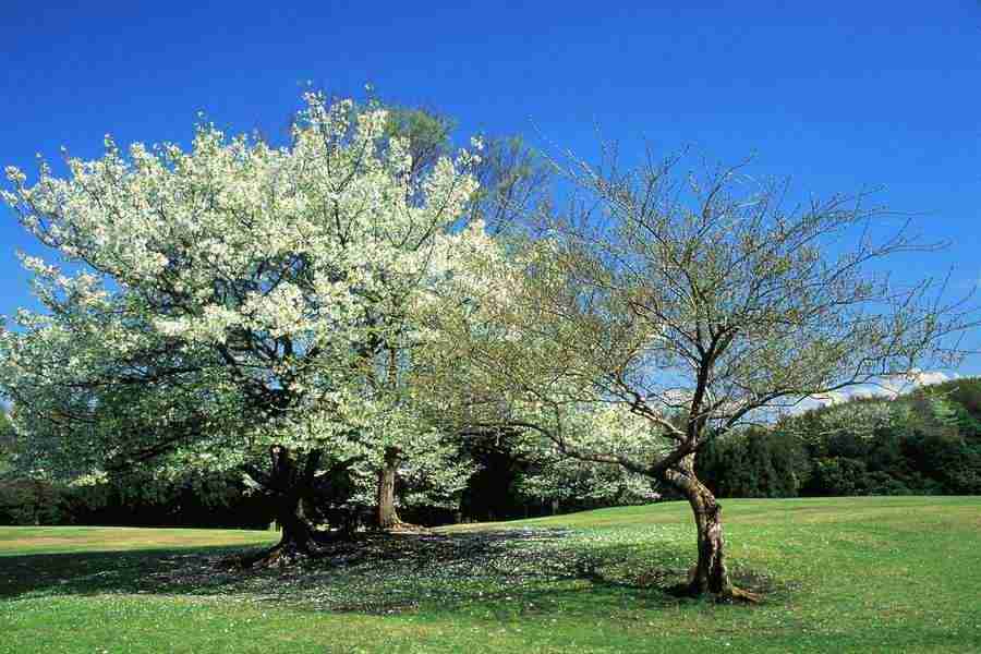 Office Work - Photo Mantan ></a>
<script language=JavaScript> 
  var txt = 