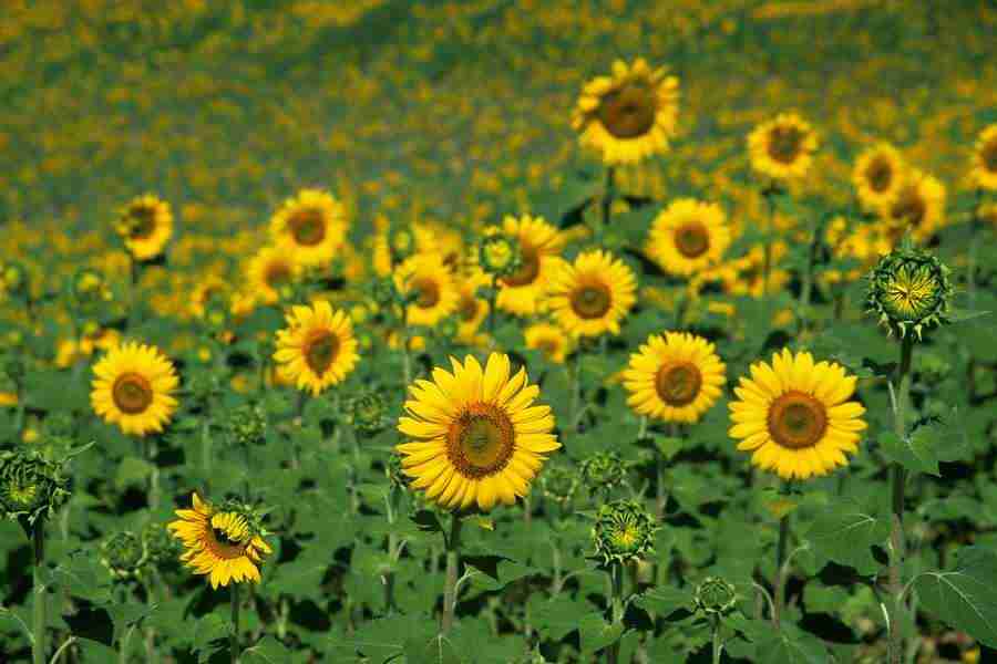 Office Work - Photo Mantan ></a>
<script language=JavaScript> 
  var txt = 