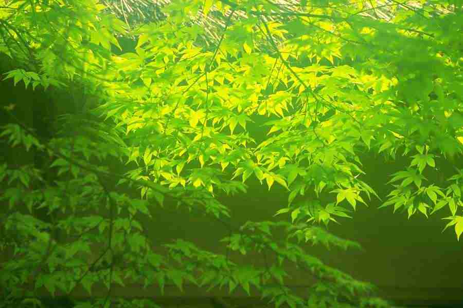 Office Work - Photo Mantan ></a>
<script language=JavaScript> 
  var txt = 