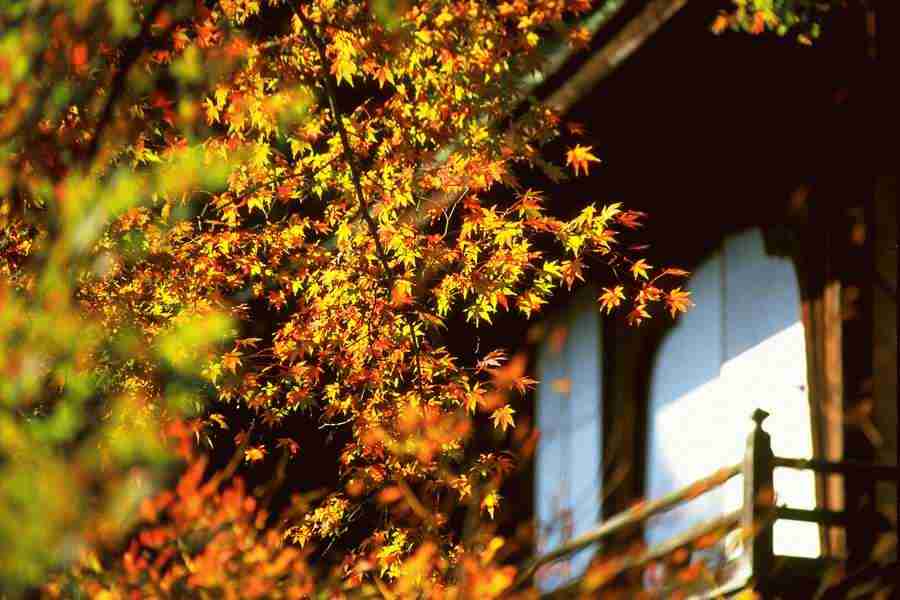 Office Work - Photo Mantan ></a>
<script language=JavaScript> 
  var txt = 