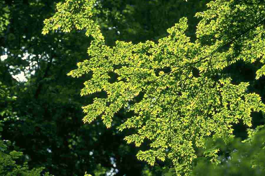 Office Work - Photo Mantan ></a>
<script language=JavaScript> 
  var txt = 