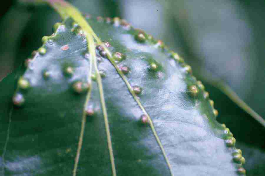 Office Work - Photo Mantan ></a>
<script language=JavaScript> 
  var txt = 