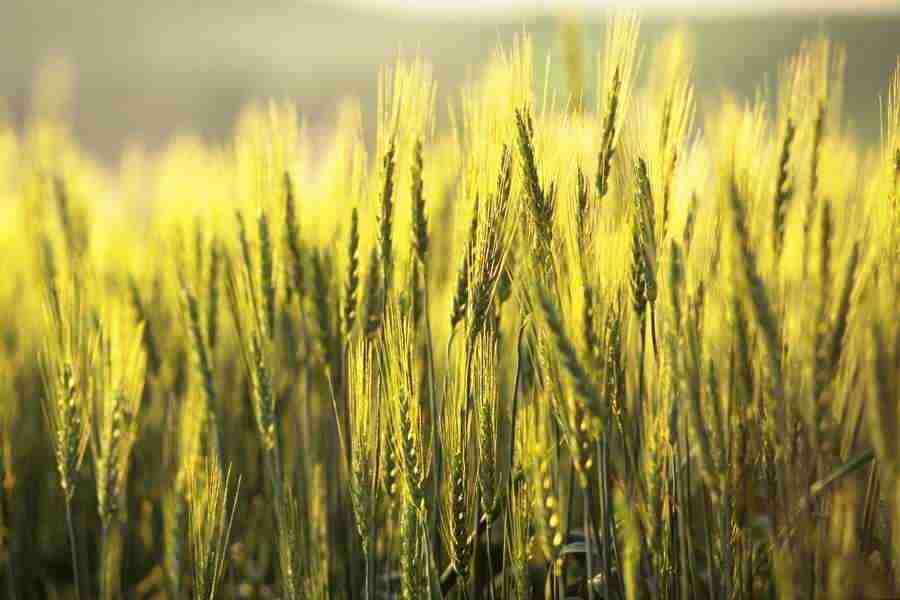 Office Work - Photo Mantan ></a>
<script language=JavaScript> 
  var txt = 