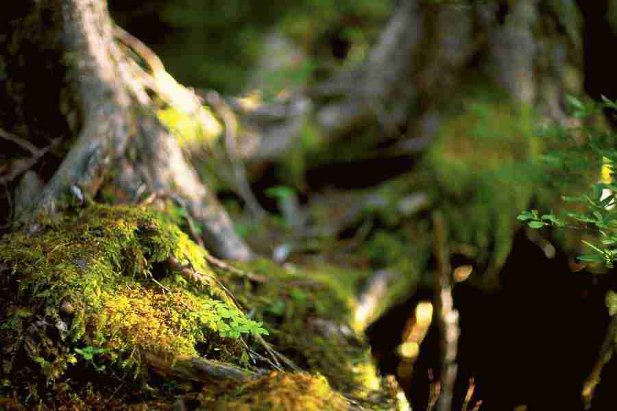 Office Work - Photo Mantan ></a>
<script language=JavaScript> 
  var txt = 