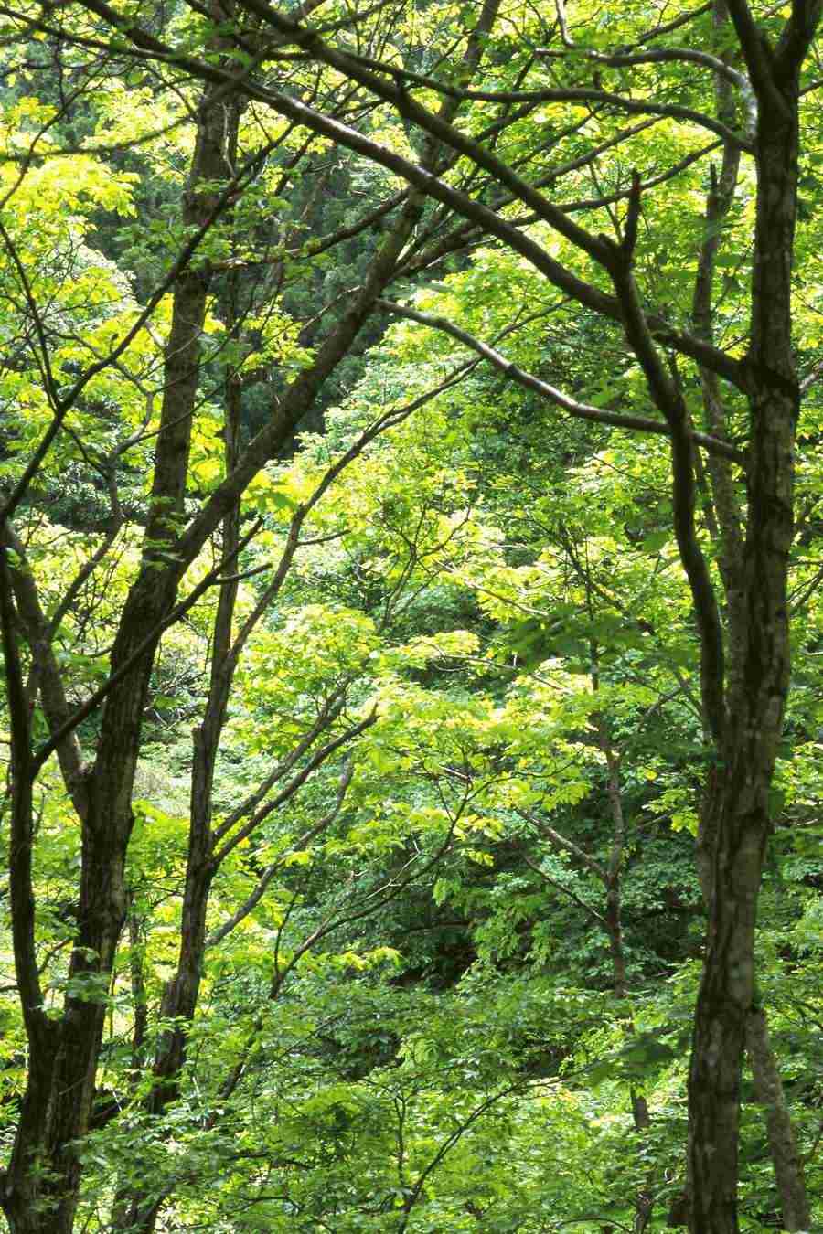 Office Work - Photo Mantan ></a>
<script language=JavaScript> 
  var txt = 