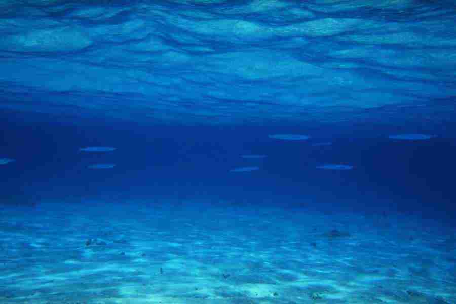 Office Work - Photo Mantan ></a>
<script language=JavaScript> 
  var txt = 