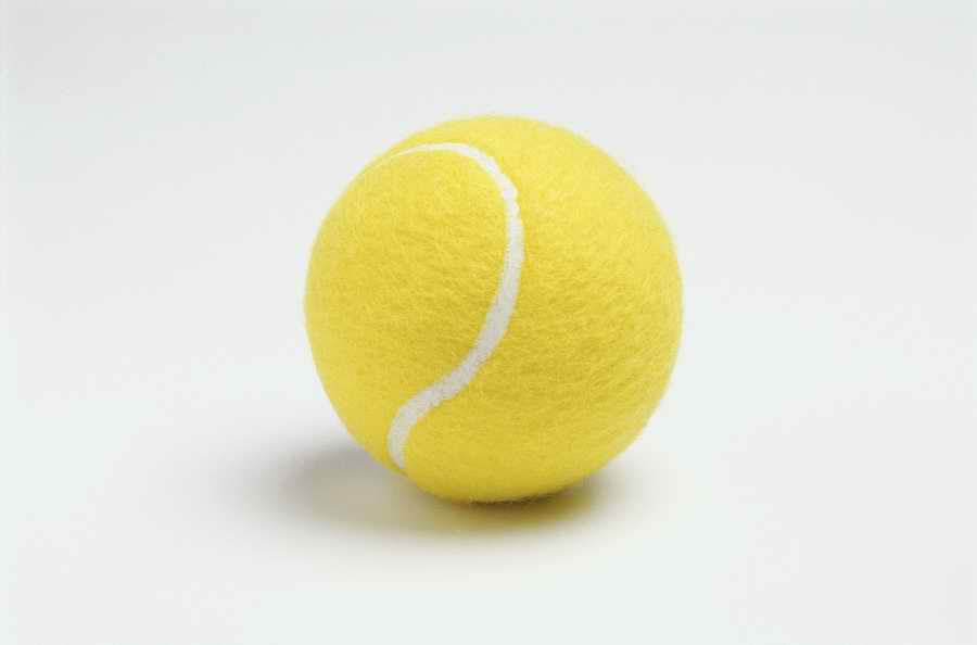 Everyday Object 2 - Photodisc Object Series ></a>
<script language=JavaScript> 
  var txt = 