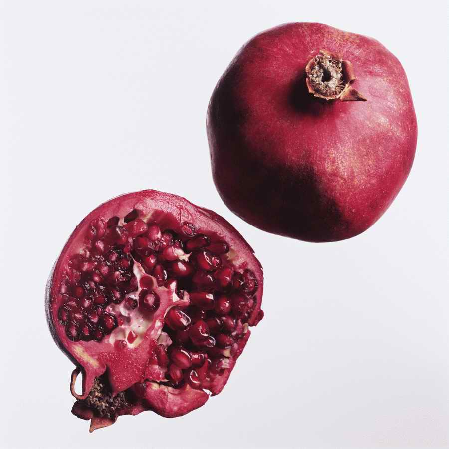 Fruits & Vegetables - Photodisc Object Series ></a>
<script language=JavaScript> 
  var txt = 