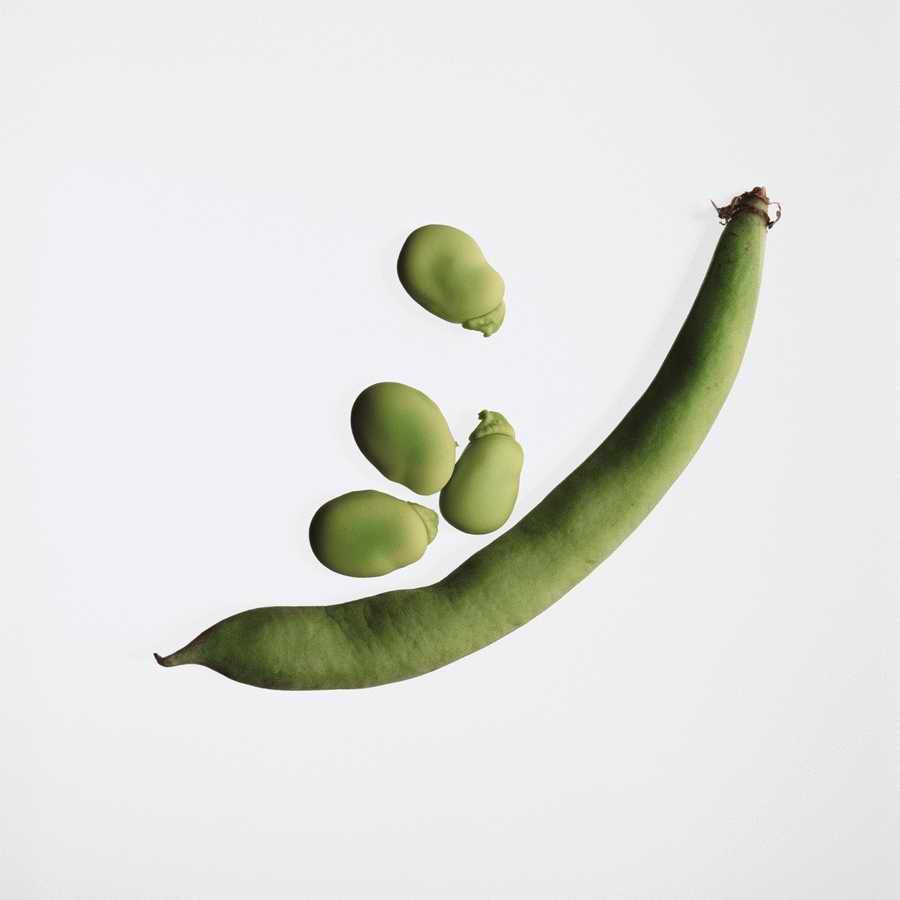 Fruits & Vegetables - Photodisc Object Series ></a>
<script language=JavaScript> 
  var txt = 