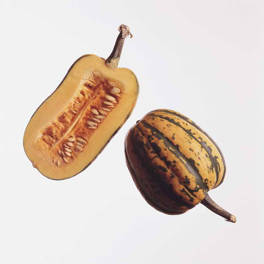 Fruits & Vegetables - Photodisc Object Series ></a>
<script language=JavaScript> 
  var txt = 