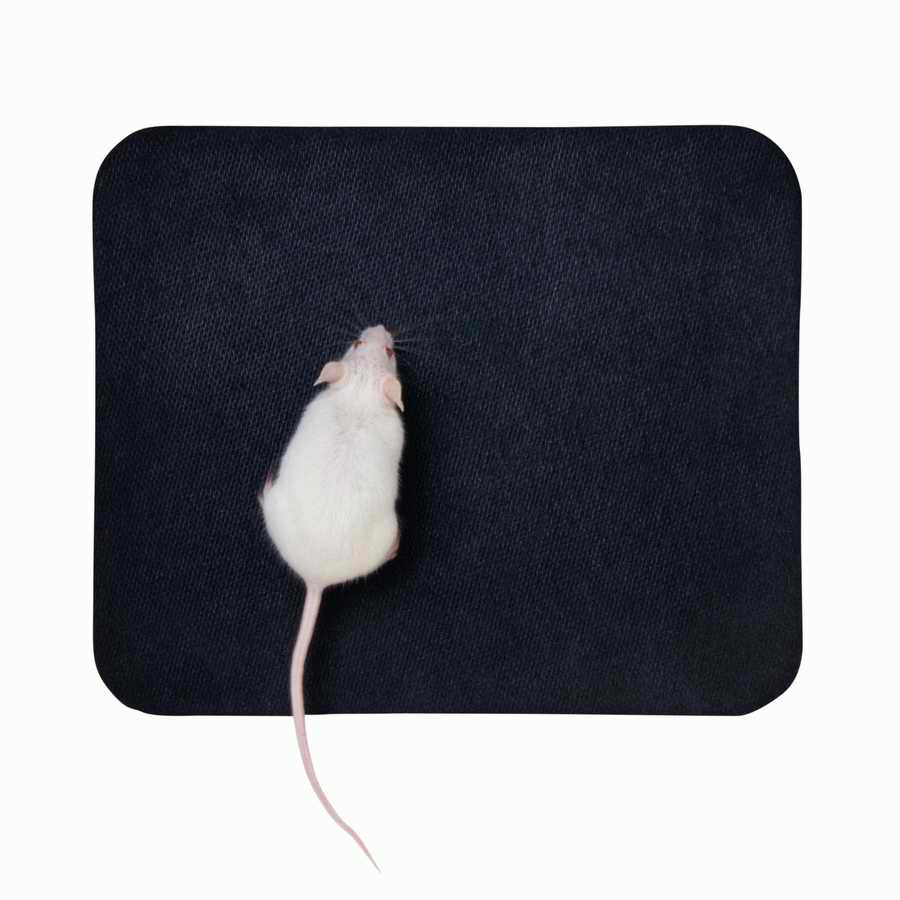 InfoMedia 3 - Photodisc Object Series ></a>
<script language=JavaScript> 
  var txt = 