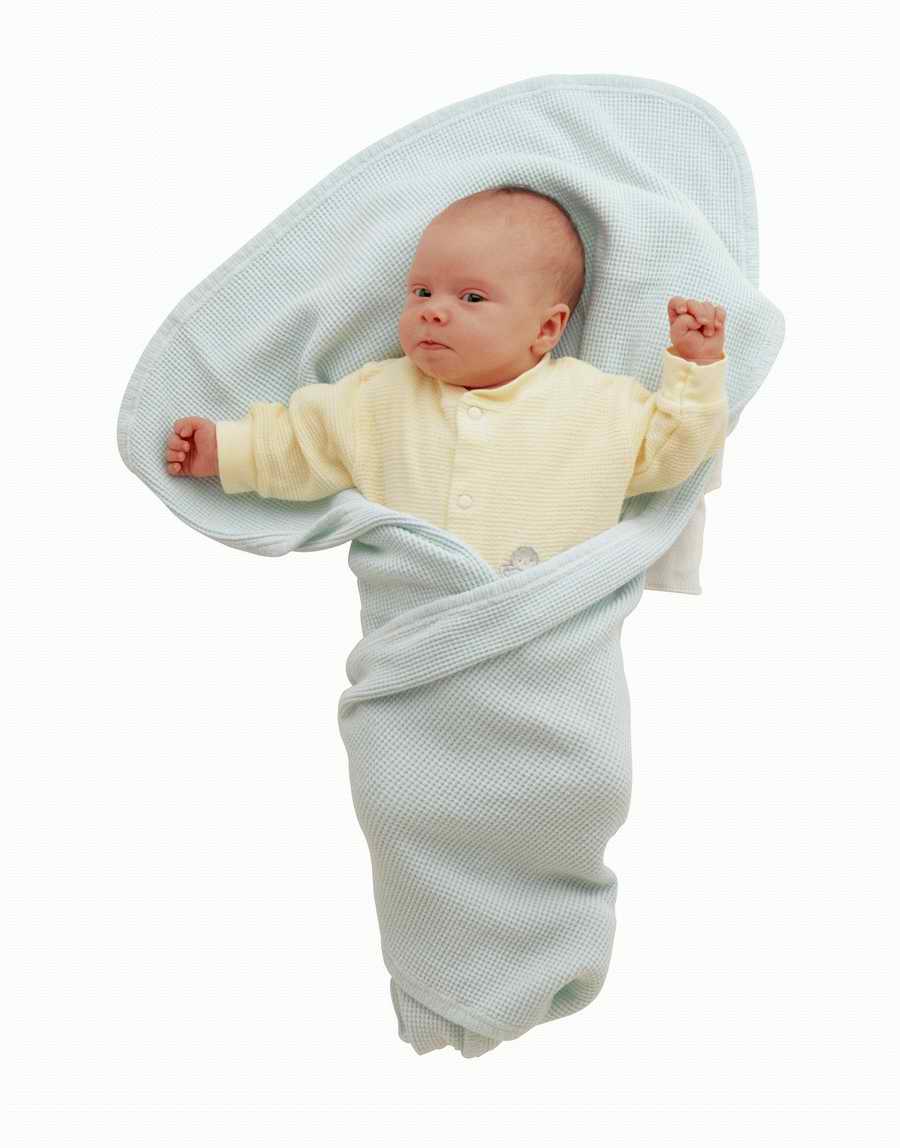 Just Babies - Photodisc Object Series ></a>
<script language=JavaScript> 
  var txt = 