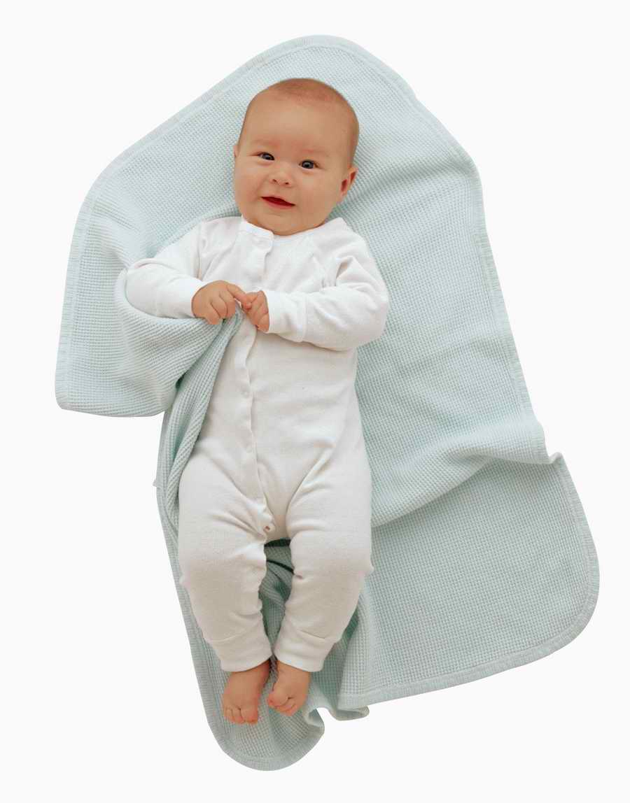 Just Babies - Photodisc Object Series ></a>
<script language=JavaScript> 
  var txt = 