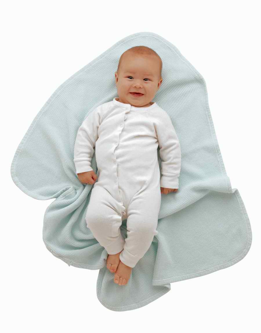 Just Babies - Photodisc Object Series ></a>
<script language=JavaScript> 
  var txt = 