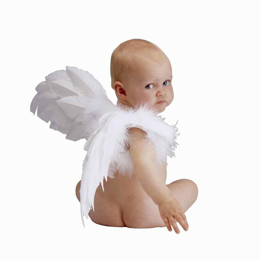 Just Babies - Photodisc Object Series ></a>
<script language=JavaScript> 
  var txt = 