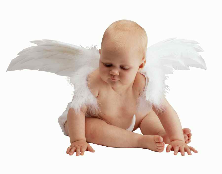 Just Babies - Photodisc Object Series ></a>
<script language=JavaScript> 
  var txt = 