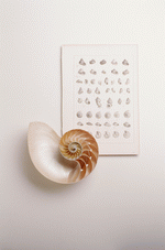 Photodisc Object Series: Just Documents 