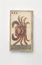 Photodisc Object Series: Just Documents 