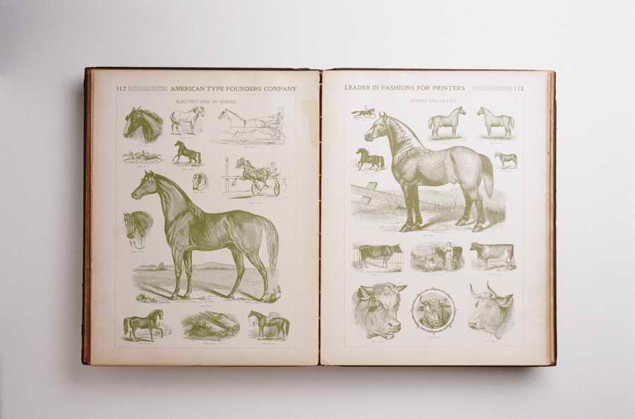 Just Documents - Photodisc Object Series ></a>
<script language=JavaScript> 
  var txt = 