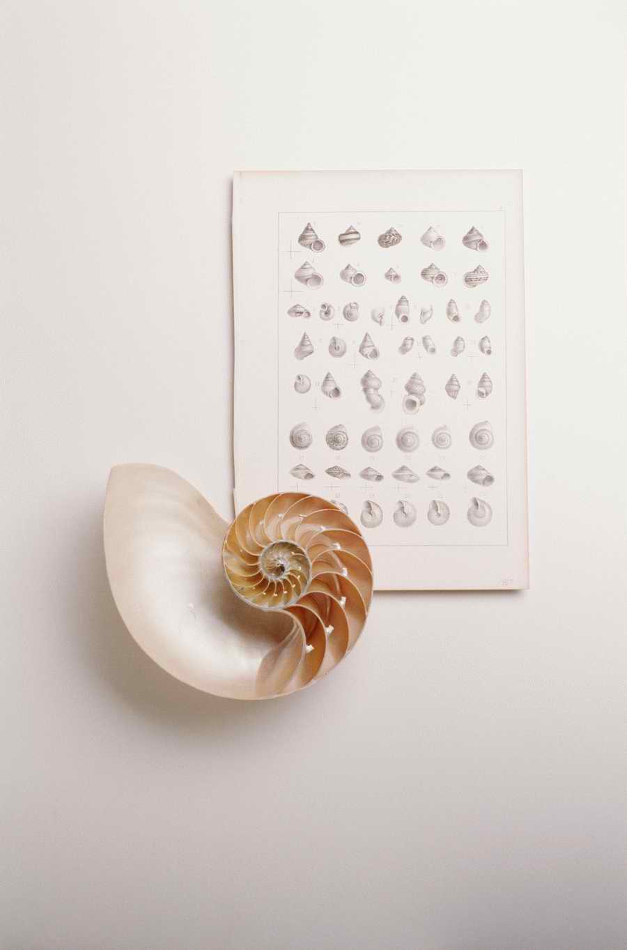 Just Documents - Photodisc Object Series ></a>
<script language=JavaScript> 
  var txt = 