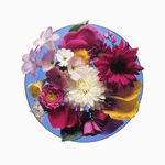 Photodisc Object Series: Just Flowers 