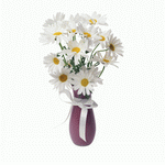 Photodisc Object Series: Just Flowers 