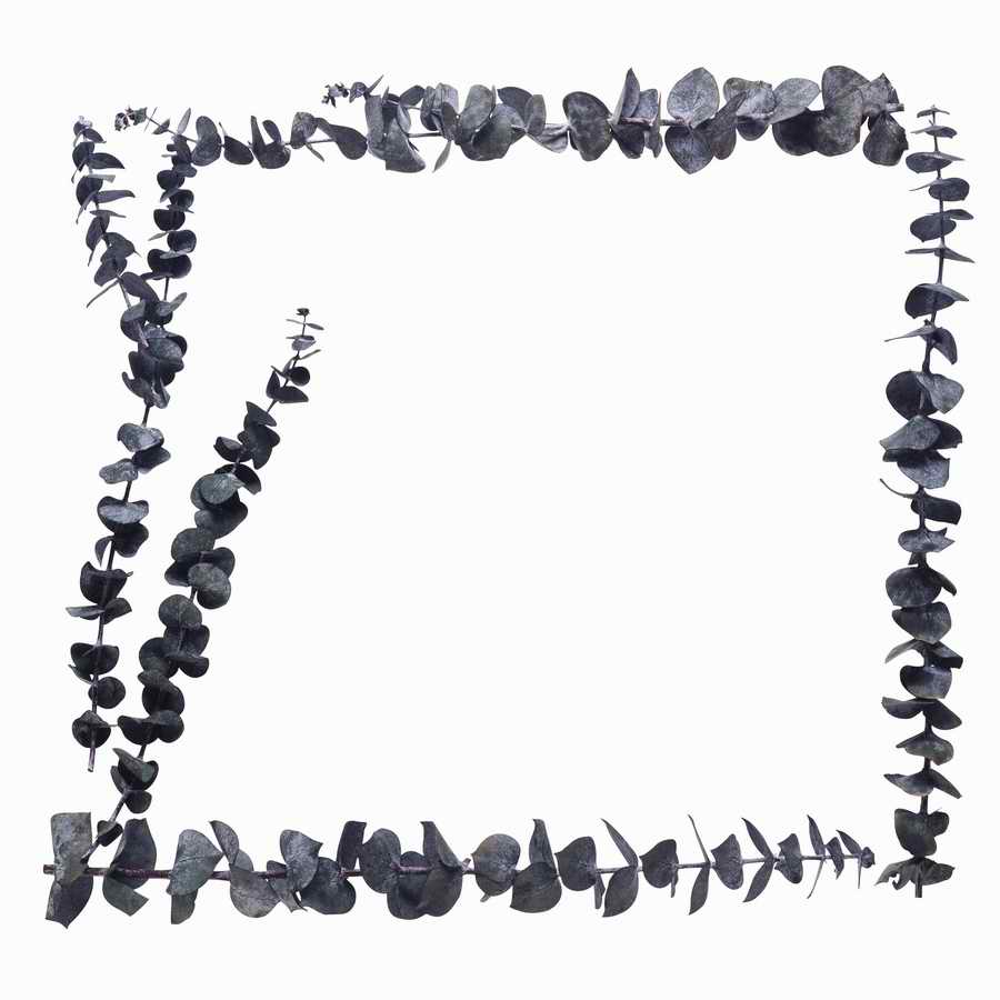 Just Flowers - Photodisc Object Series ></a>
<script language=JavaScript> 
  var txt = 