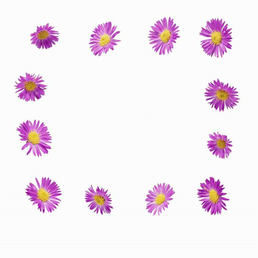 Just Flowers - Photodisc Object Series ></a>
<script language=JavaScript> 
  var txt = 