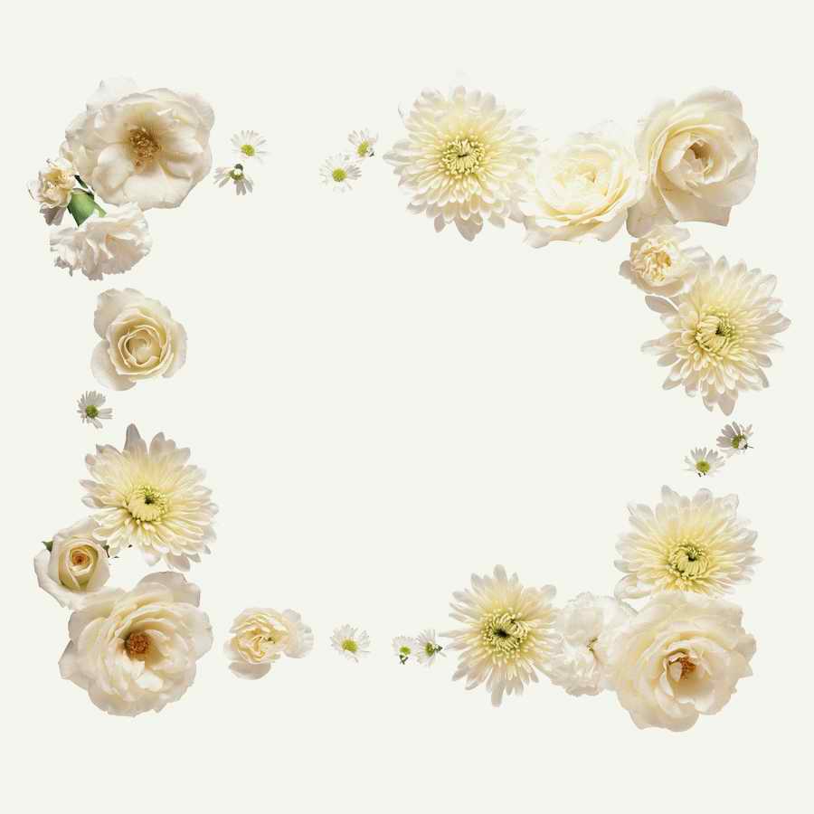 Just Flowers - Photodisc Object Series ></a>
<script language=JavaScript> 
  var txt = 