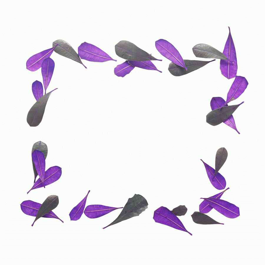 Just Flowers - Photodisc Object Series ></a>
<script language=JavaScript> 
  var txt = 