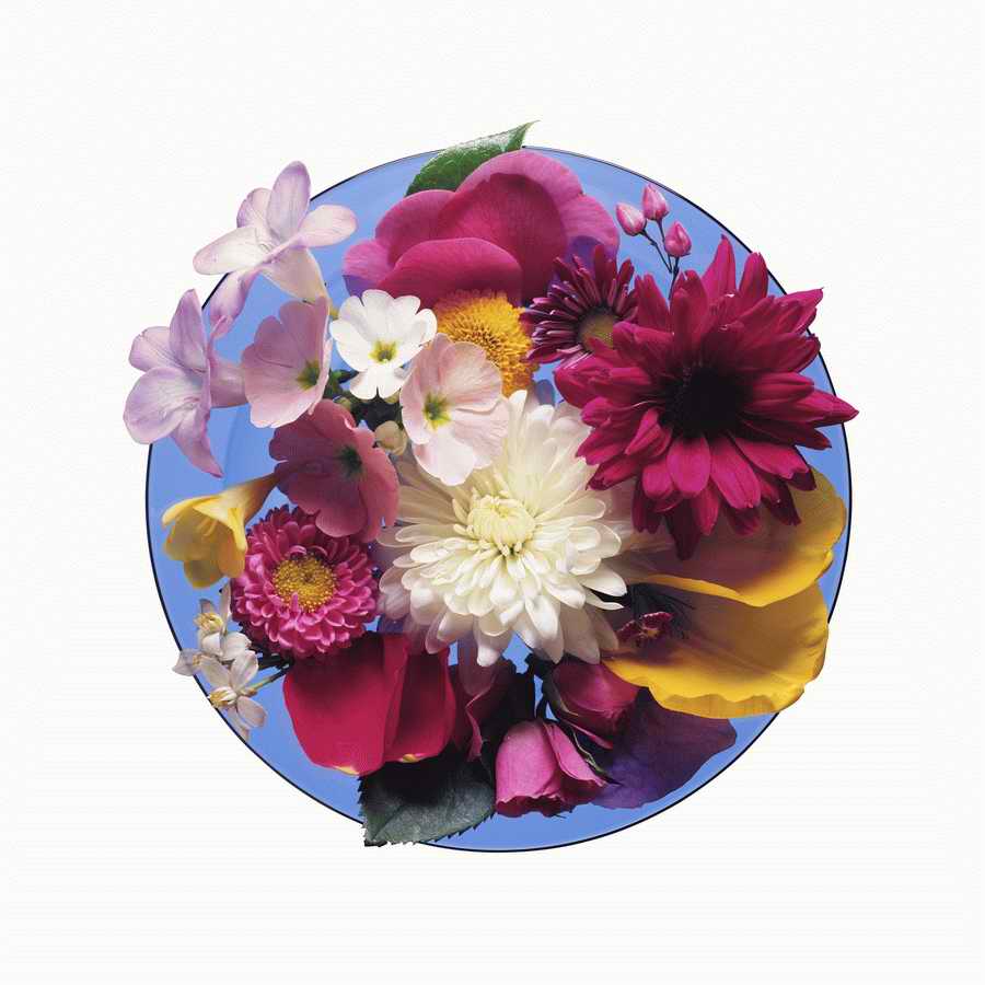 Just Flowers - Photodisc Object Series ></a>
<script language=JavaScript> 
  var txt = 