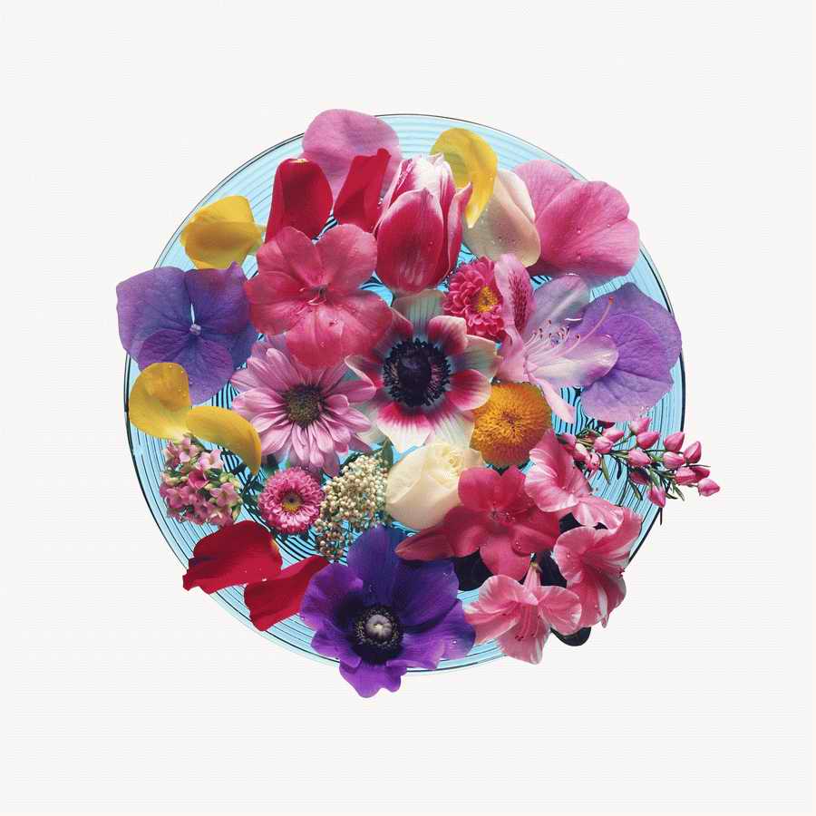 Just Flowers - Photodisc Object Series ></a>
<script language=JavaScript> 
  var txt = 