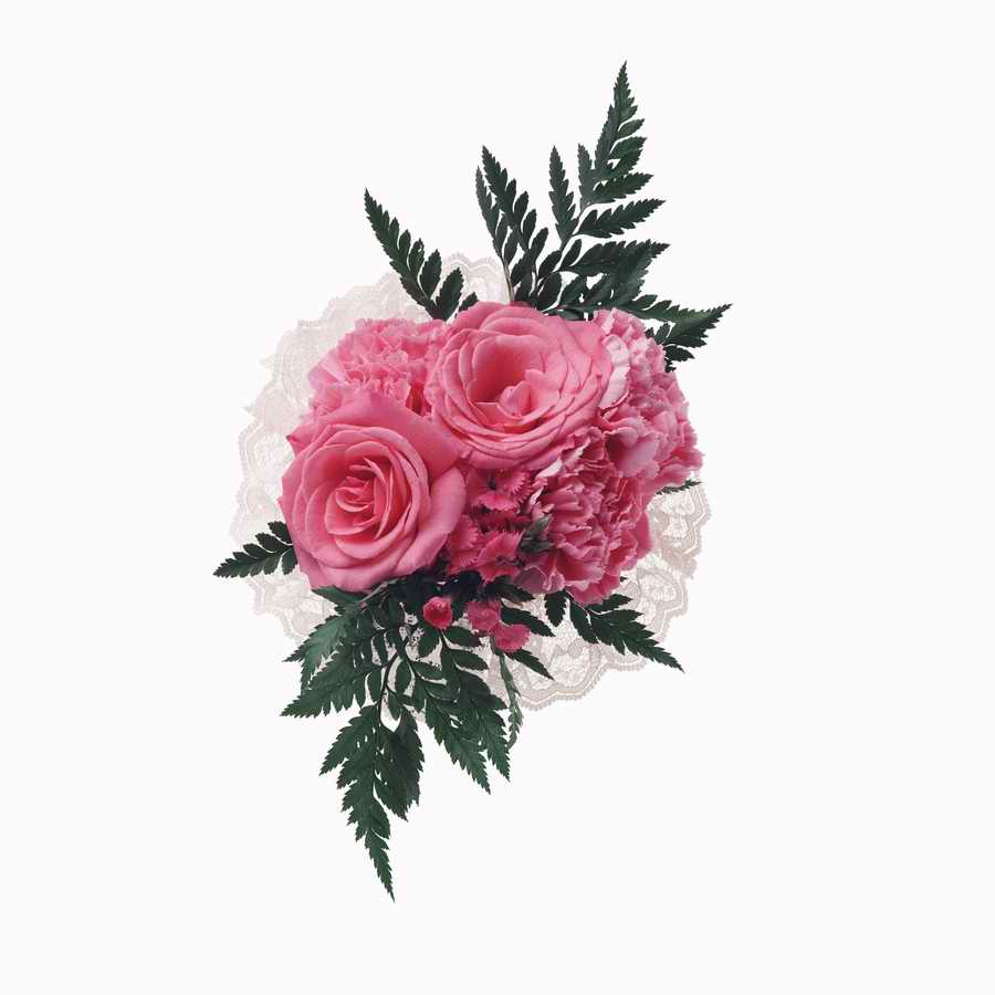 Just Flowers - Photodisc Object Series ></a>
<script language=JavaScript> 
  var txt = 