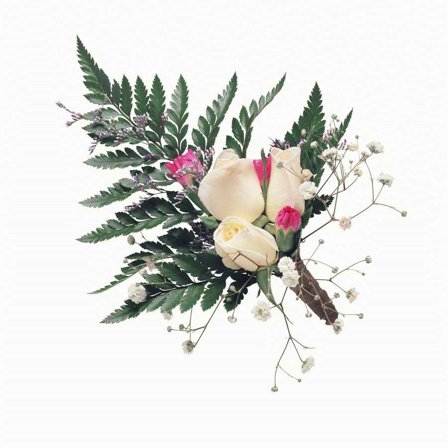 Just Flowers - Photodisc Object Series ></a>
<script language=JavaScript> 
  var txt = 