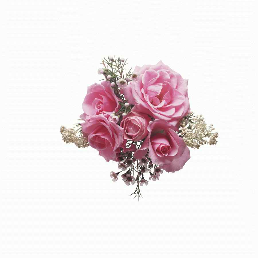 Just Flowers - Photodisc Object Series ></a>
<script language=JavaScript> 
  var txt = 