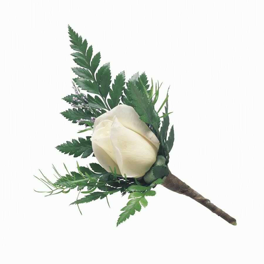 Just Flowers - Photodisc Object Series ></a>
<script language=JavaScript> 
  var txt = 